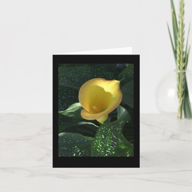 Yellow Calla Lily Blank Notecard (Front)