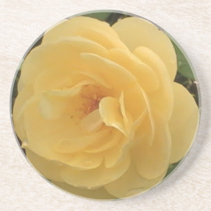 Yellow Camellia Coaster