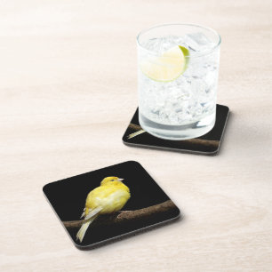 Yellow Canary Coaster