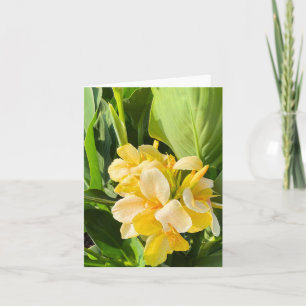 Yellow Canna Lily In A Garden Photograph Card