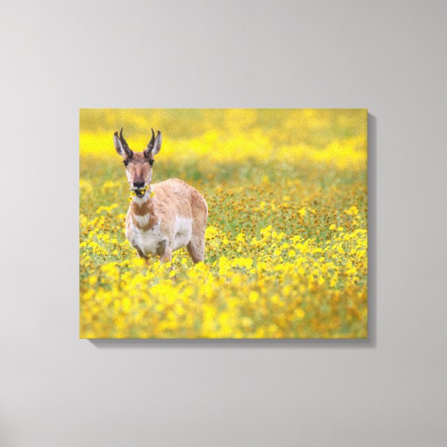 Yellow Canvas Print (Front)
