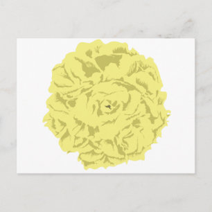 yellow carnation flower postcard