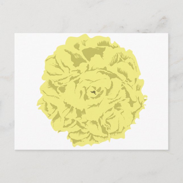 yellow carnation flower postcard (Front)