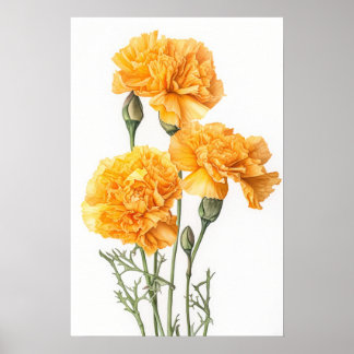 Yellow Carnations Flower Art Print Poster
