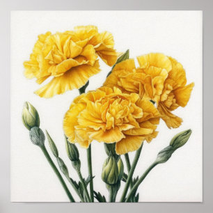 Yellow Carnations Flower Art Print Poster