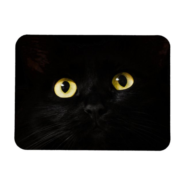 Yellow Cat Eyes, Black Cat, Black Background Magnet (Horizontal)