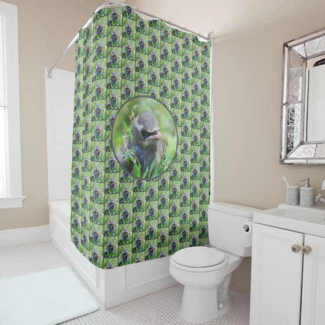 Yellow Cedar Waxwing Fledgling Bird  Shower Curtain (In Situ)