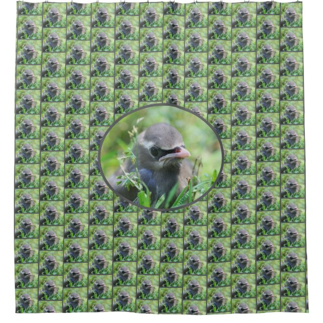 Yellow Cedar Waxwing Fledgling Bird  Shower Curtain (Front)