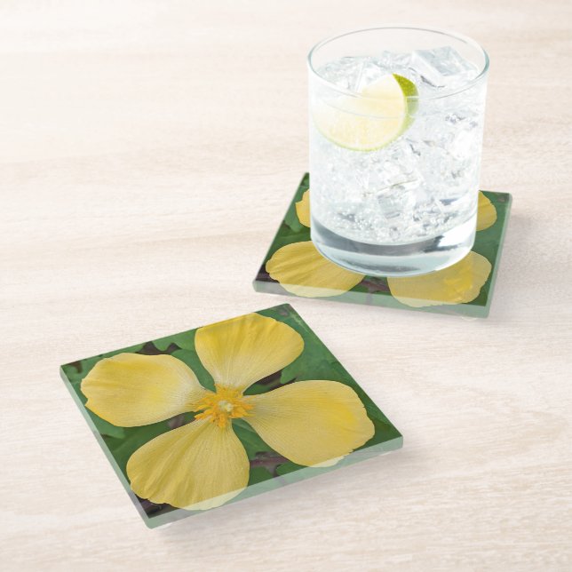 Yellow Celandine Poppy Floral Glass Coaster (Angled)