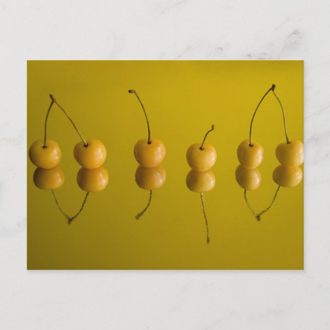 yellow cherries_6 postcard (Front)