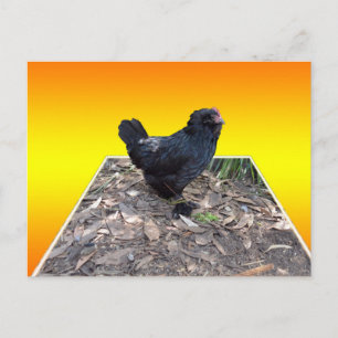 Yellow Chicken Pop Out Art Postcard