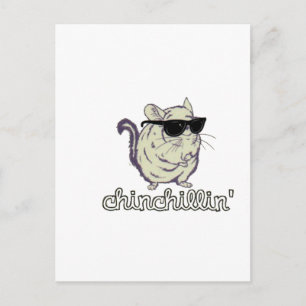 Yellow Chinchillin Chinchilla Postcard