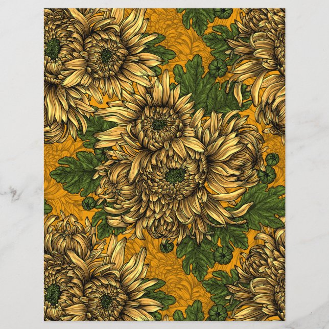 Yellow chrysanthemum flowers (Front)