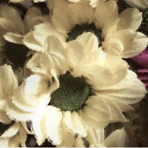 YELLOW CHRYSANTHEMUM PHOTO PRINT