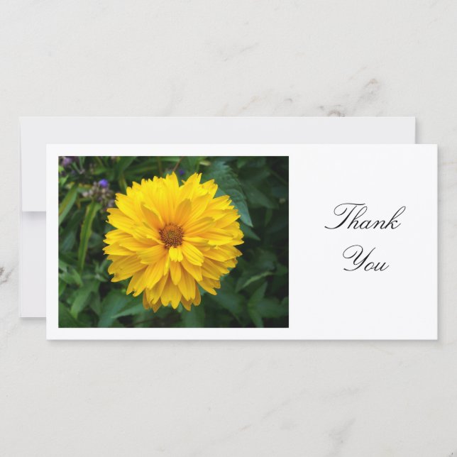 Yellow Chrysanthemum - Thank You Card (Front)
