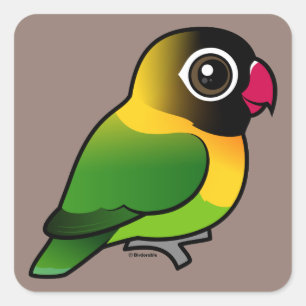 Yellow-collared Lovebird Square Sticker