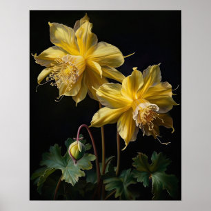Yellow Columbine Flowers Art Print Poster