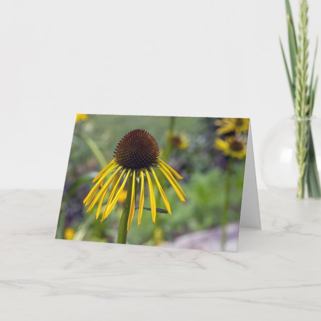 Yellow Coneflower Blank Note Card (Front)