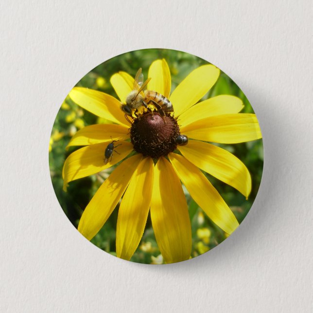 Yellow Coneflower Button (Front)