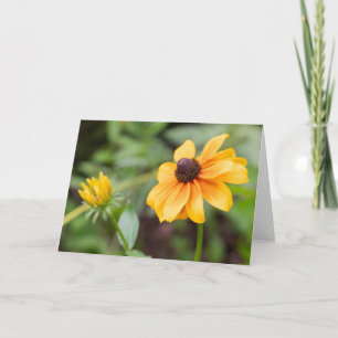 Yellow Coneflower Note Card