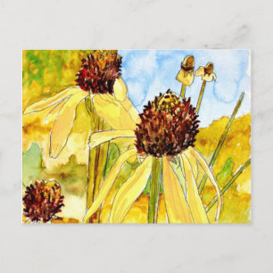 yellow coneflower post cards