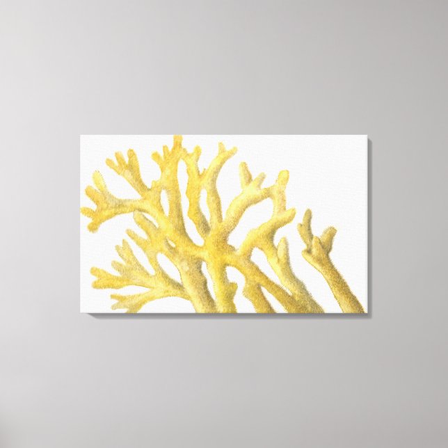 Yellow Coral Canvas Print (Front)