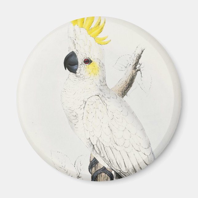 Yellow Crested Cockatoo Magnet (Front)