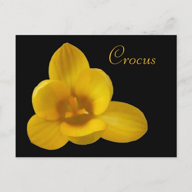 Yellow Crocus Customisable Postcard (Front)