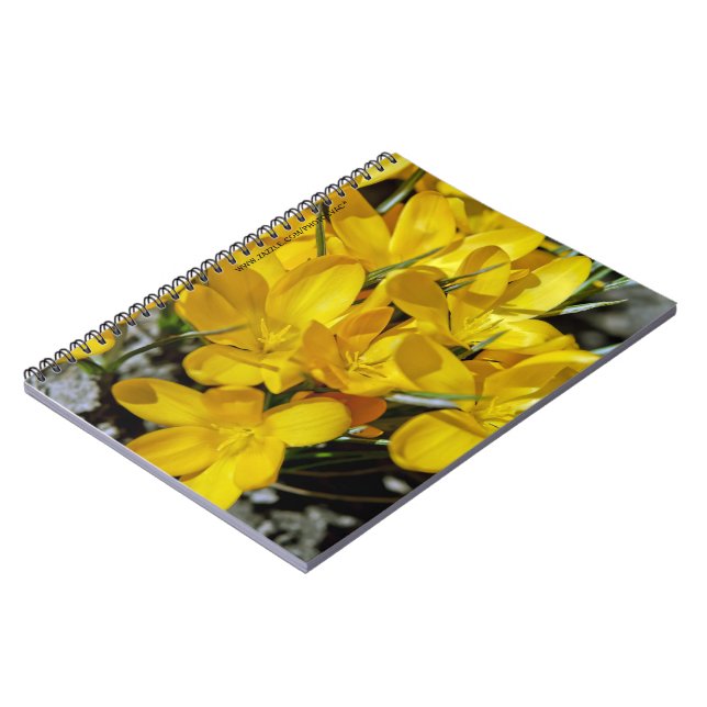 Yellow Crocus Flowers Spiral Notebook (Left Side)