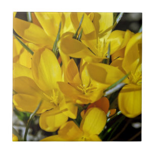 Yellow Crocus Flowers Tile
