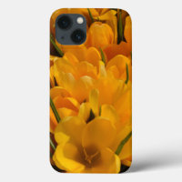 Yellow Crocuses - Happy Floral Heralds of Spring