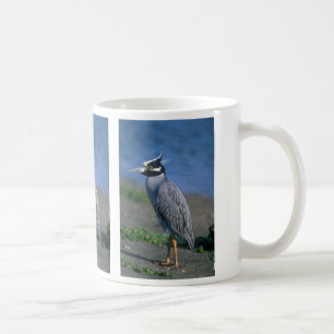 Yellow-crowned Night Heron Coffee Mug