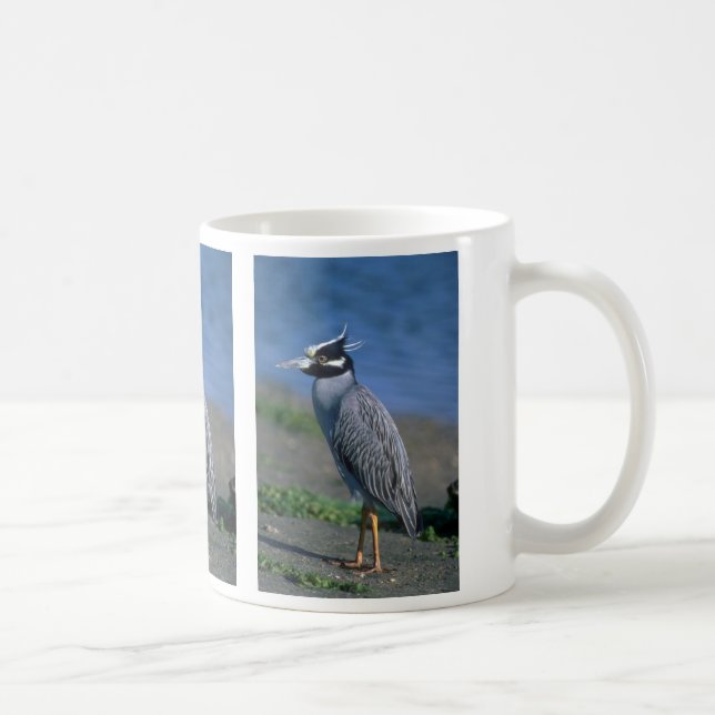 Yellow-crowned Night Heron Coffee Mug (Right)
