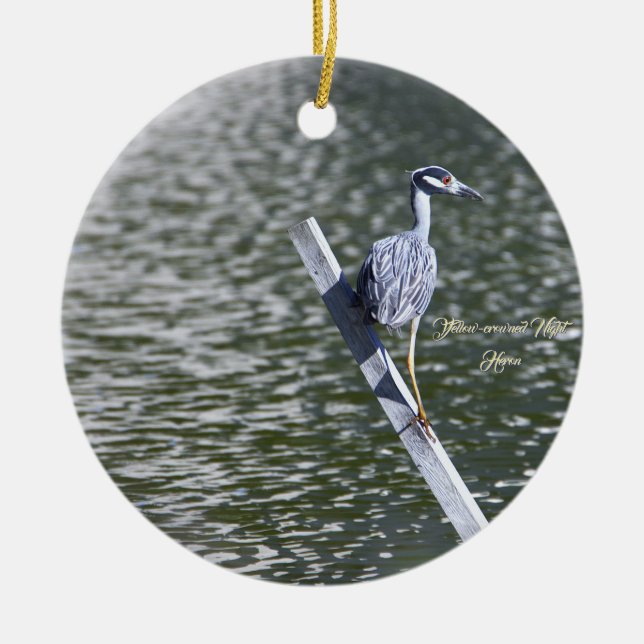 Yellow-Crowned Night Heron Ornament (Front)