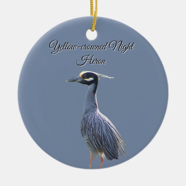 Yellow-crowned Night Heron Ornament  (Front)