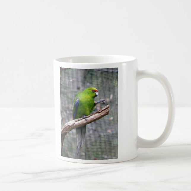 Yellow-crowned Parakeet Coffee Mug (Right)