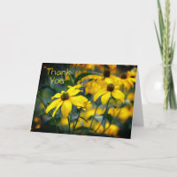 Yellow Cut Leaf Coneflower