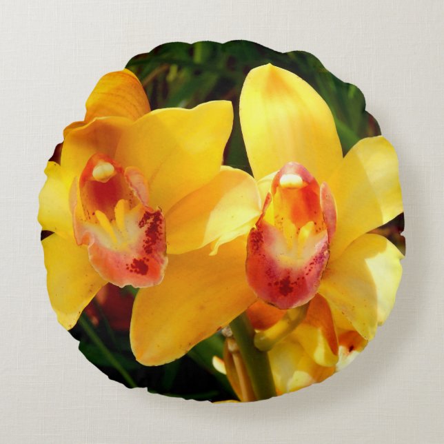 Yellow Cymbidium Orchid Round Cushion (Front)