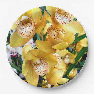 Yellow Cymbidium Orchids Paper Plate