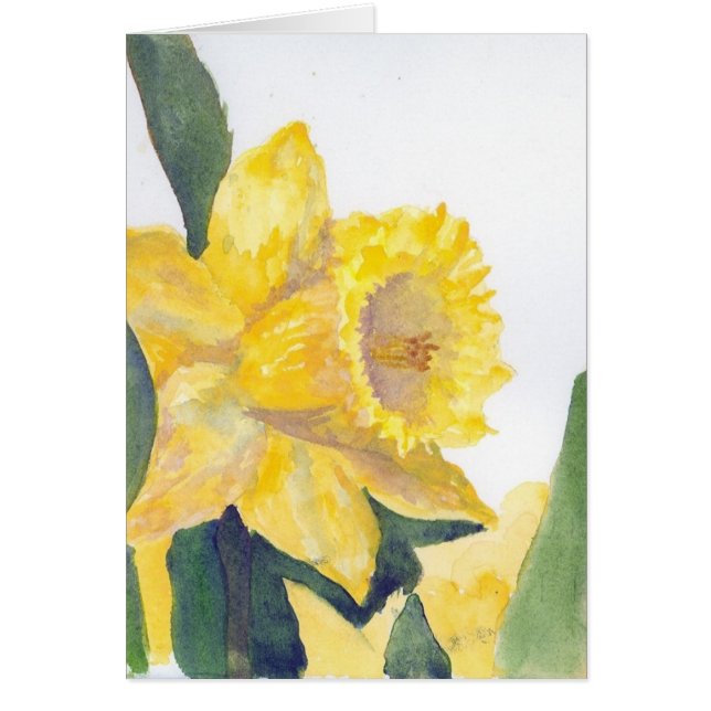 Yellow Daffodil (Front)