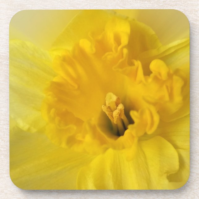 yellow daffodil coaster (Front)