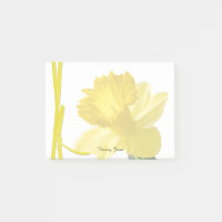 Yellow Daffodil Floral Photography