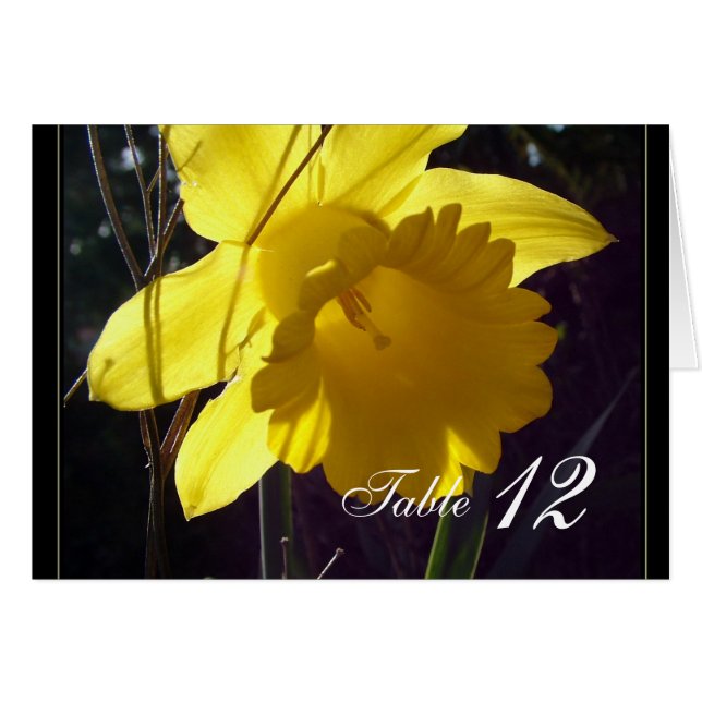 Yellow daffodil flower dinner table number card. (Front Horizontal)
