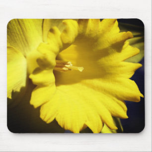 Yellow Daffodil Flower Mouse Pad