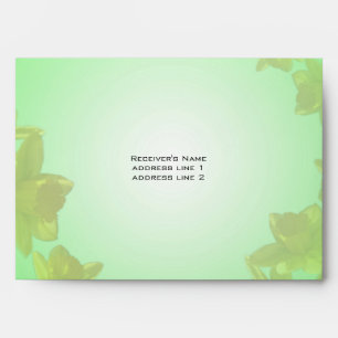 yellow daffodil flowers in light green background envelopes