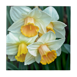 Yellow daffodil flowers tile