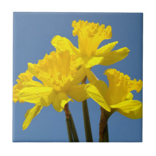 Yellow Daffodil Flowers Tile Art Daffodils