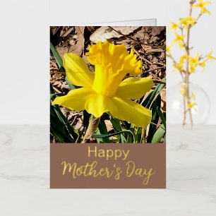 Yellow Daffodil Happy Mother’s Day Gold Foil Holiday Card
