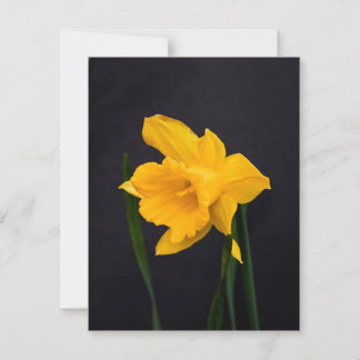 Yellow Daffodil Holiday Card