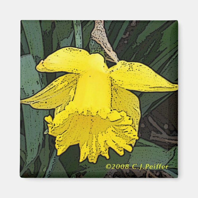 'Yellow Daffodil' Magnet (Front)